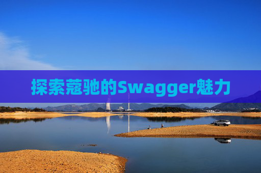 探索蔻驰的Swagger魅力